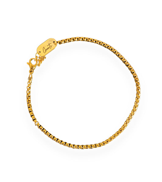 Box Chain Bracelet, Gold Vermeil (2.5 mm)